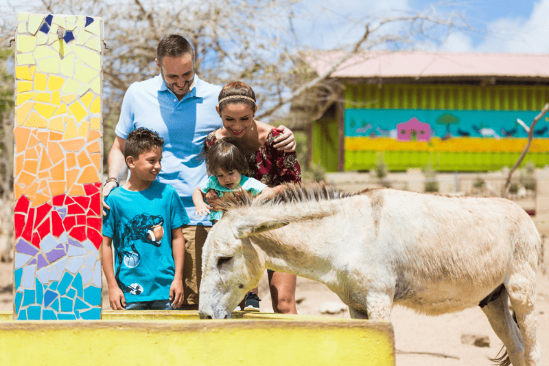 Donkey Sanctuary Aruba