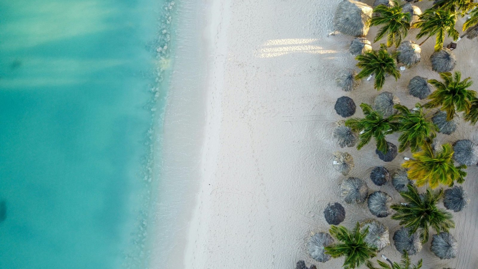 Best tours and activities in Aruba