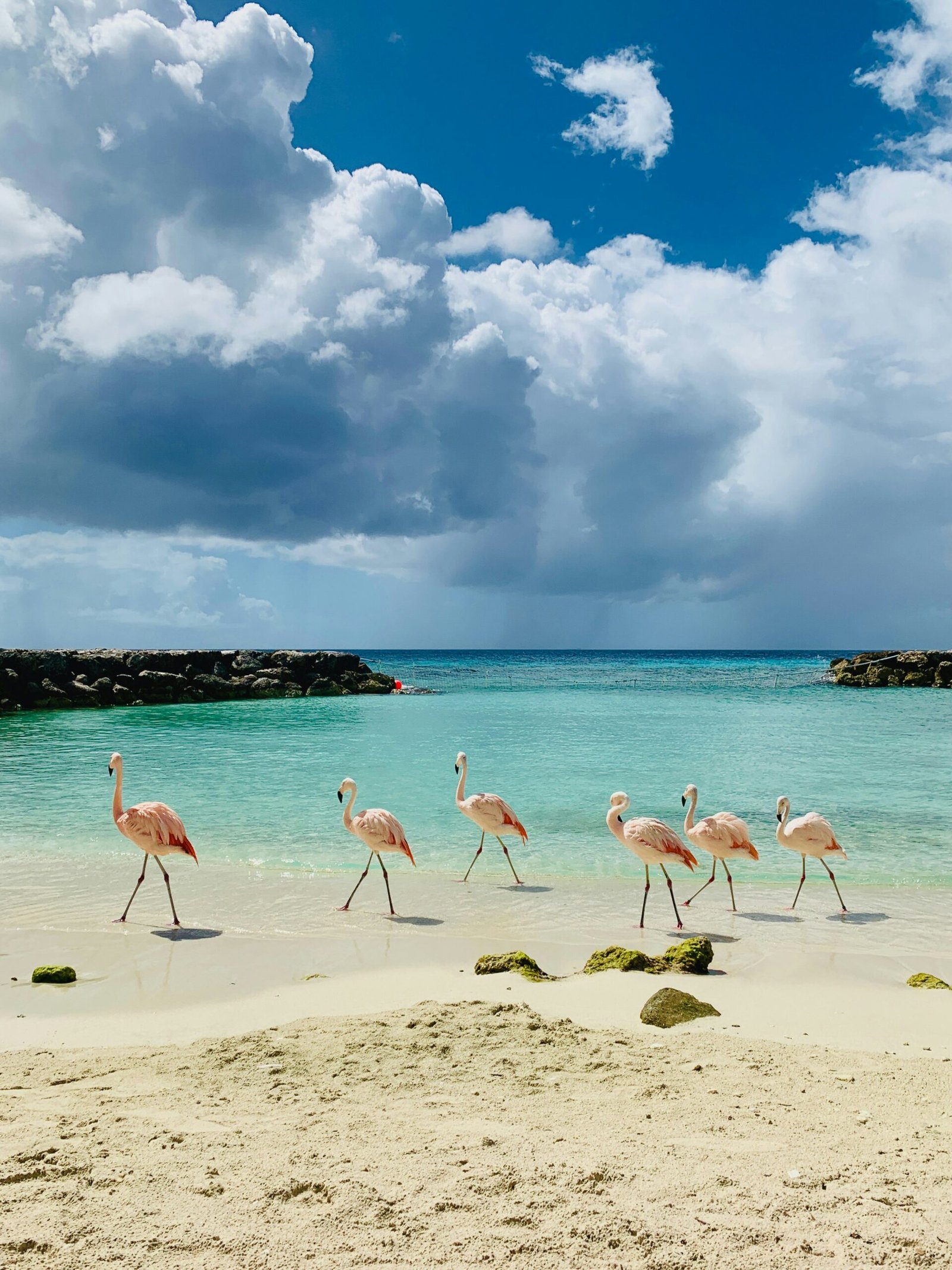 Top Places To Visit In Aruba